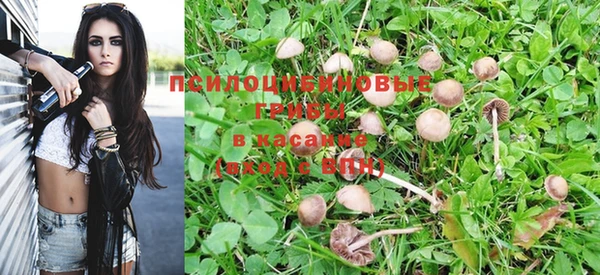 амфетамин Богородицк